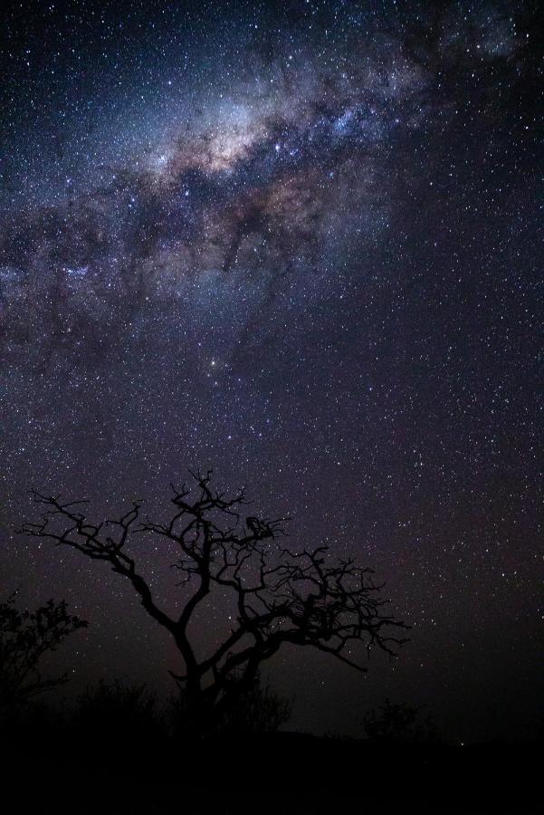 Nedile Lodge Welgevonden Game Reserve Zewnętrze zdjęcie