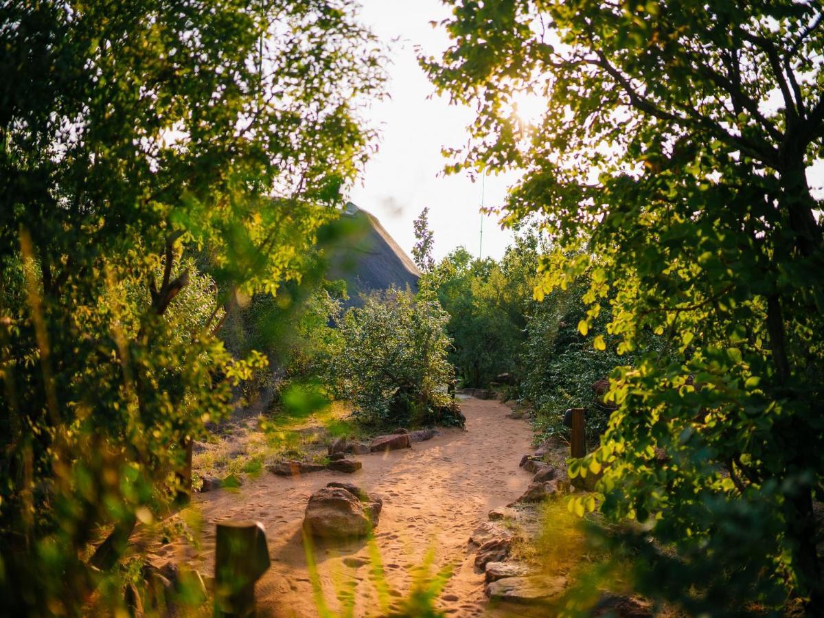 Nedile Lodge Welgevonden Game Reserve Zewnętrze zdjęcie